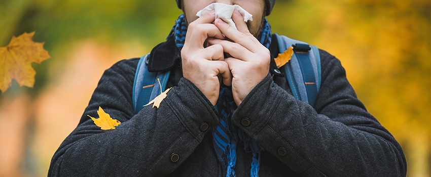 What Allergens Are High in Fall?